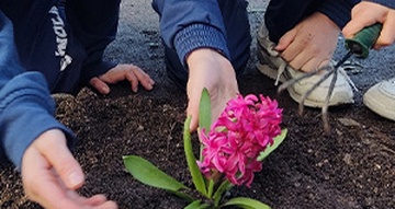 aprendizaje-y-servicio-360×191